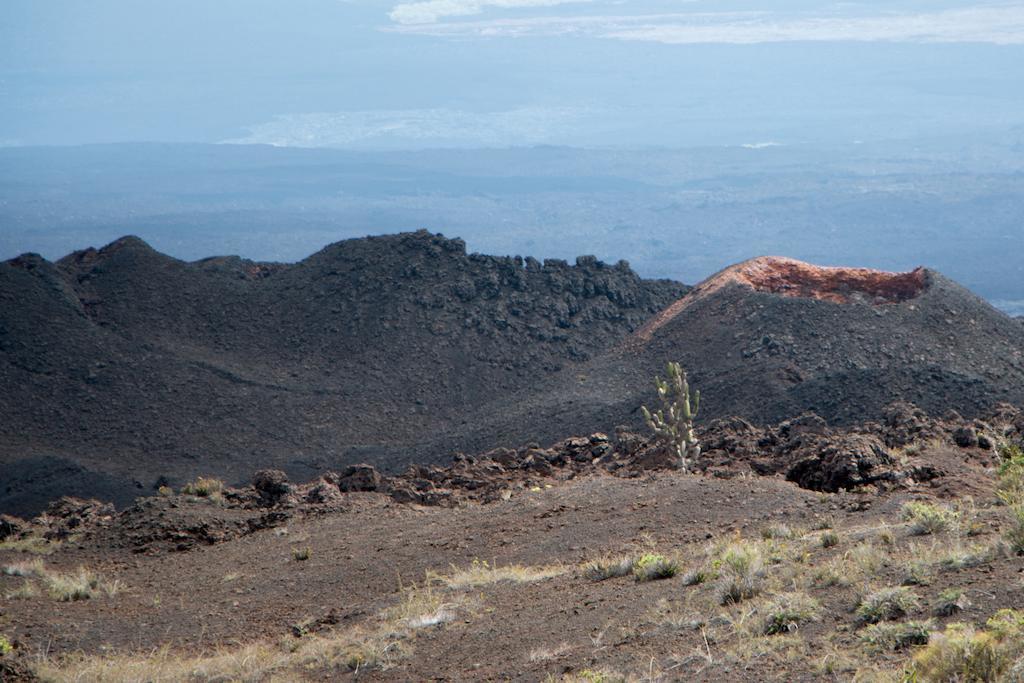 Chez Manany Galapagos Ecolodge بْوُرتو فيلاميل المظهر الخارجي الصورة