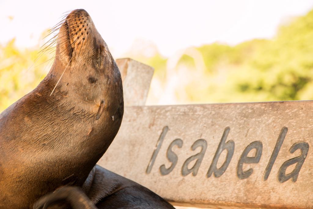 Chez Manany Galapagos Ecolodge بْوُرتو فيلاميل المظهر الخارجي الصورة