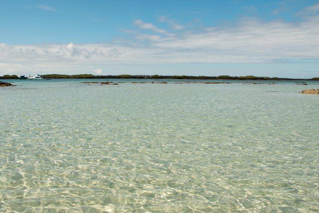 Chez Manany Galapagos Ecolodge بْوُرتو فيلاميل المظهر الخارجي الصورة