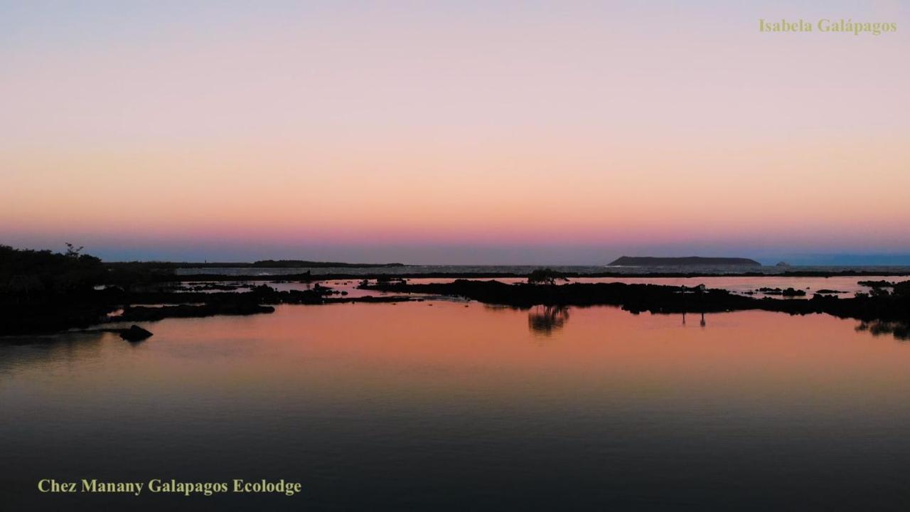 Chez Manany Galapagos Ecolodge بْوُرتو فيلاميل المظهر الخارجي الصورة